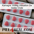Kamagra 100Mg Utilisation De Gelée Orale 19